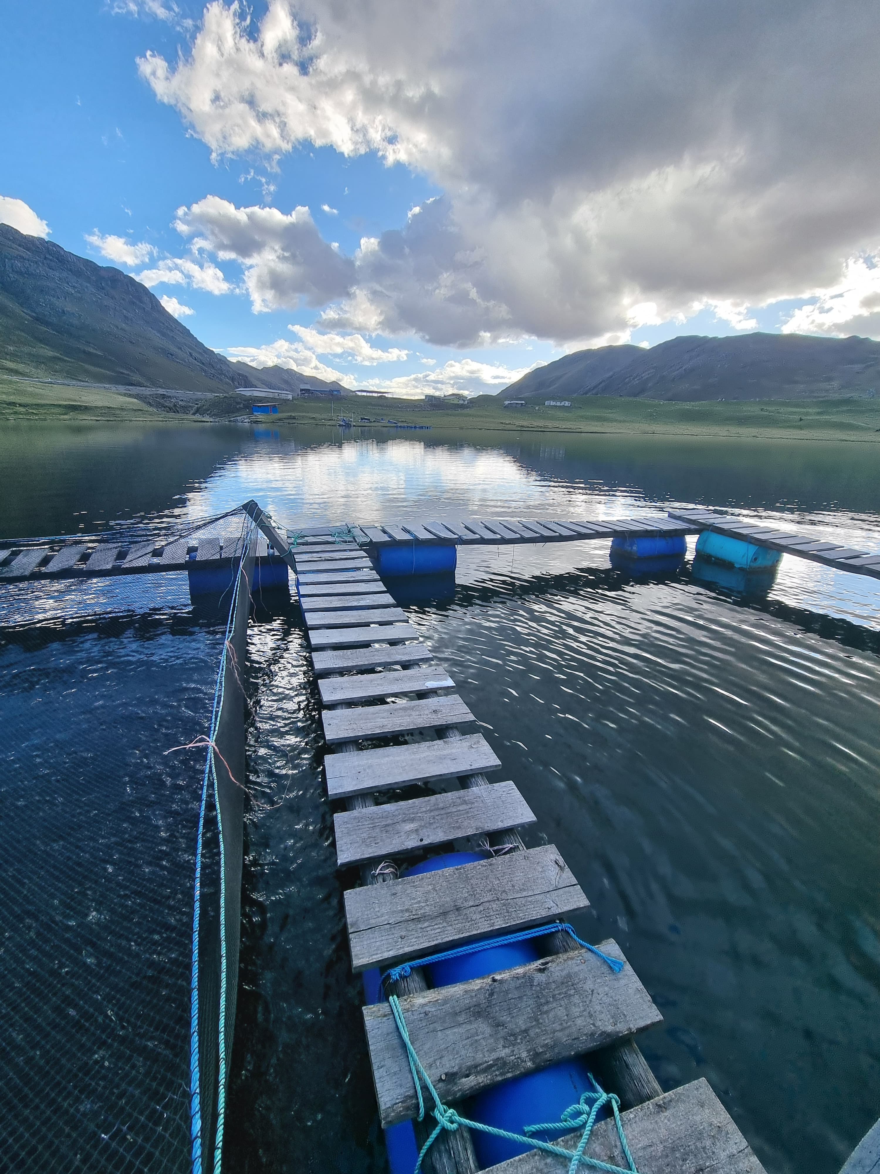 Vista desde las jaulas flotantes