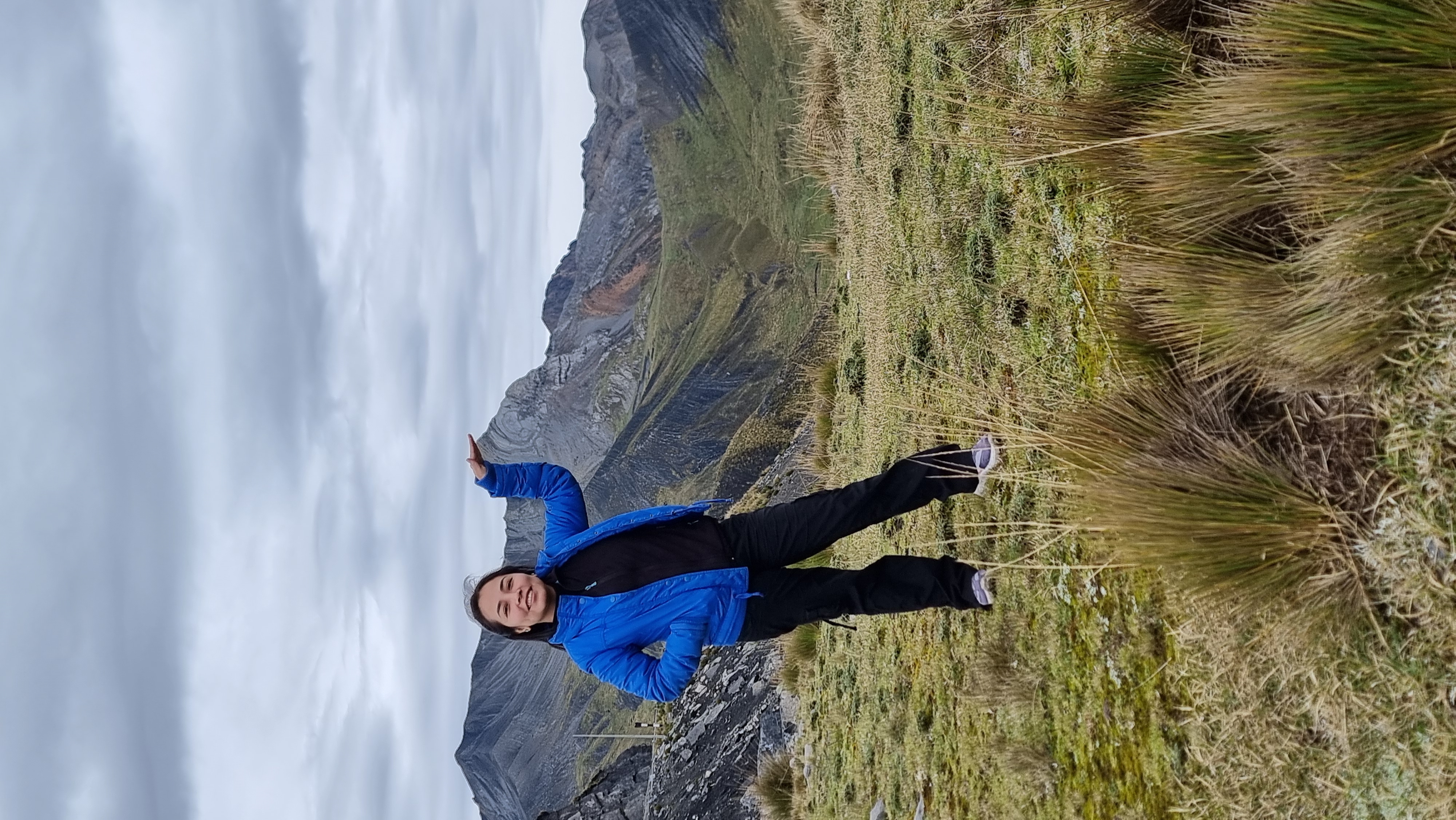 Vehículos en la pista